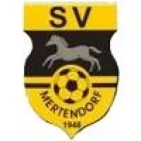 SV Mertendorf