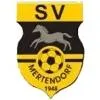SV Mertendorf