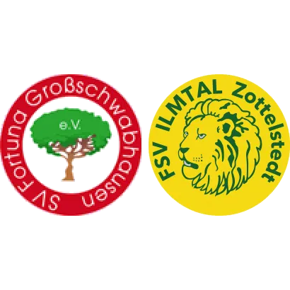 (1M) Großschwabhausen <span class="nowrap bold mx-1">1 : 0</span> Ilmtal Zottelstedt