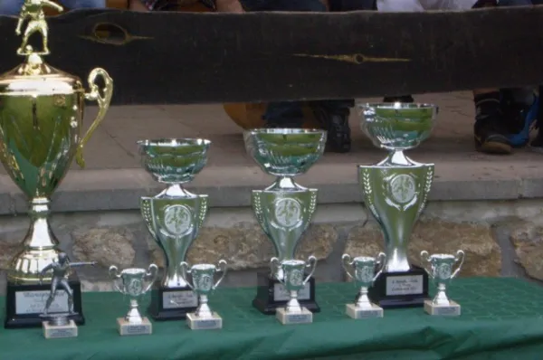 2013 Strulle-Cup