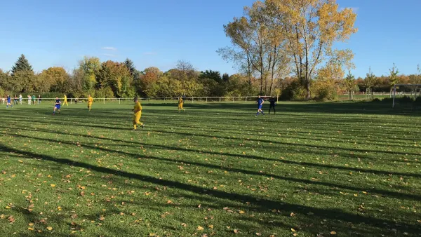 14.10.2017 Weimarer SV vs. Ilmtal Zottelstedt
