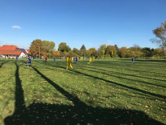 14.10.2017 Weimarer SV vs. Ilmtal Zottelstedt