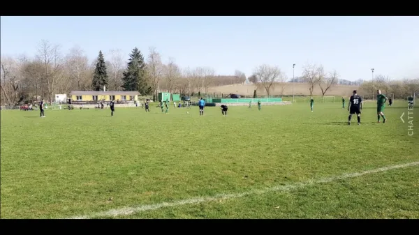 08.04.2018 Ilmtal Zottelstedt vs. SV Am Ettersberg